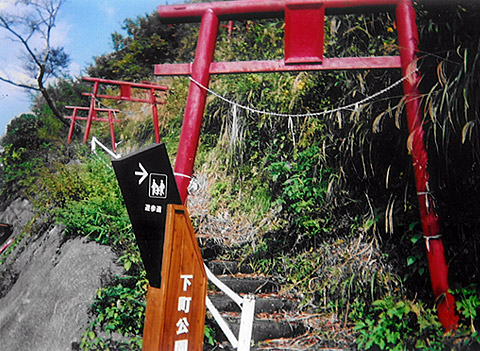 �������������